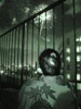 Nocturnal-Shadows-3